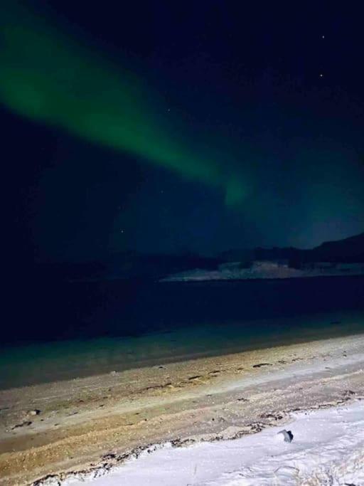 Holiday Home With Sauna In The Arctic Caribbean, טרומסה מראה חיצוני תמונה